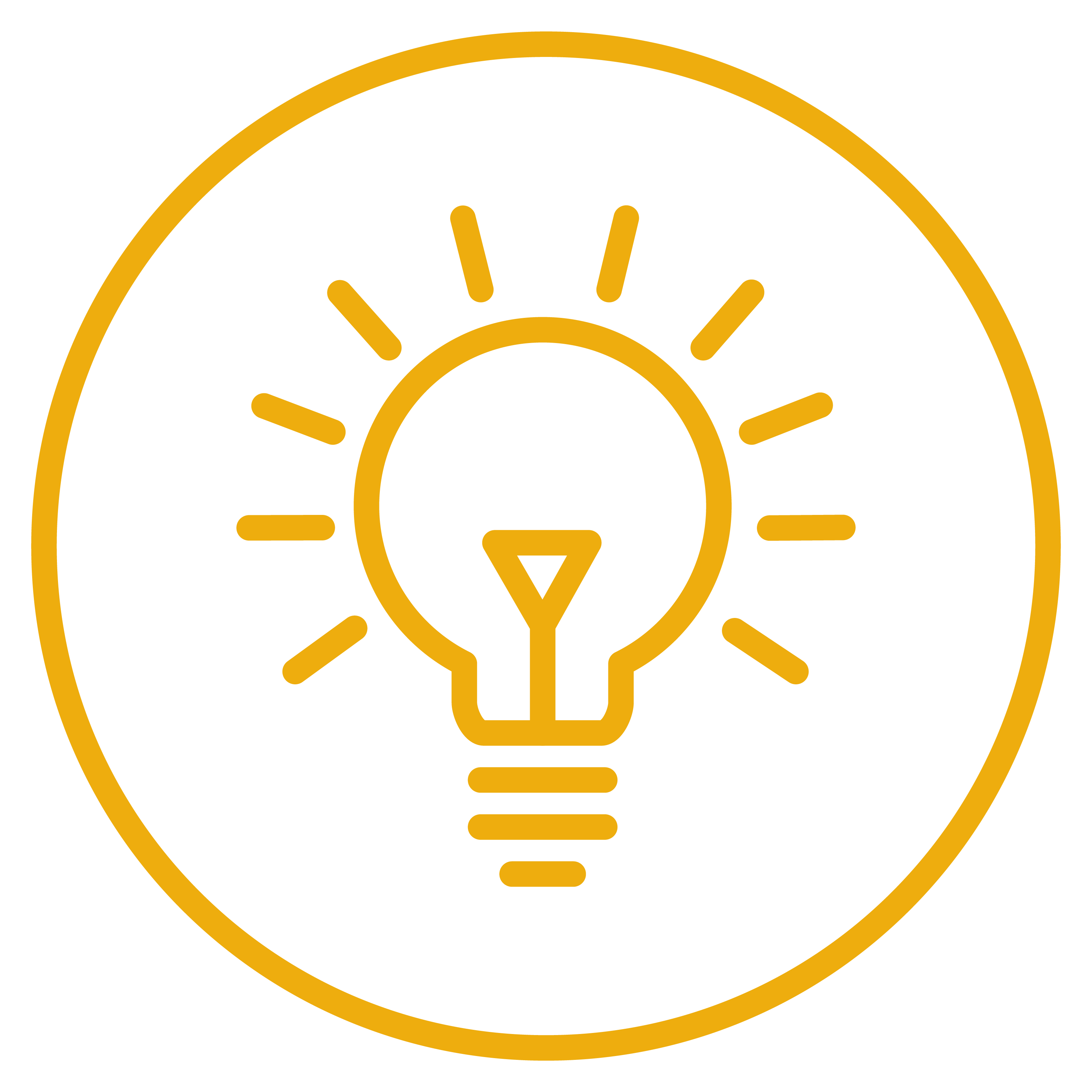 Intelligence icon showing a lightbulb